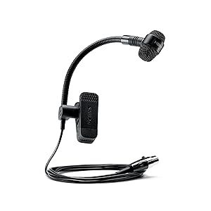 Microphone