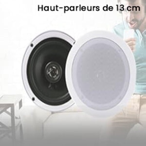 Système de Haut-Parleurs 2 Voies Flush Mount pour Maison
