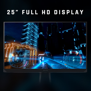 ÉCRAN 25 POUCES FULL HD
