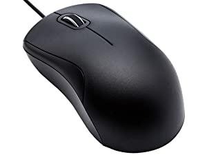 Souris taille normale