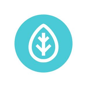 Passez au vert avec votre Ethernet