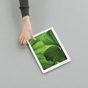 Papier HP