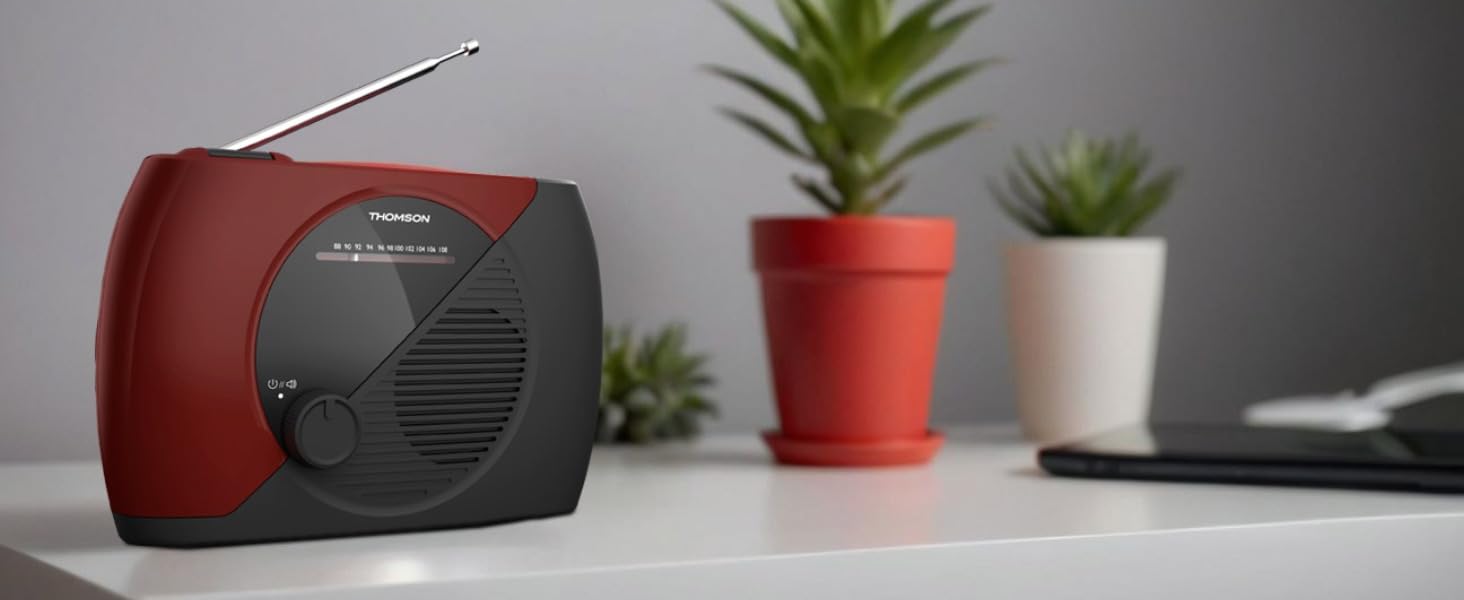 Design Compact, Intégration Harmonieuse