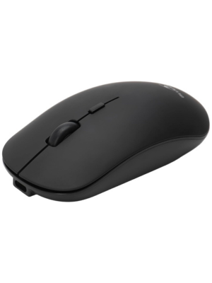 Souris sans Fil Rechargeable