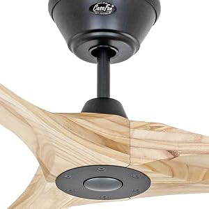 Pales en bois et moteur avec protection.