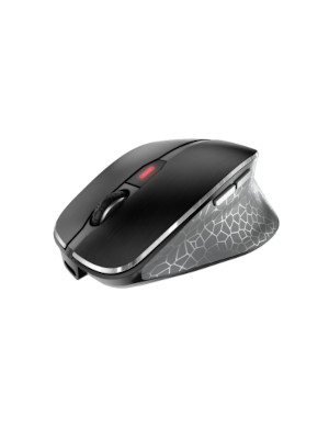 Souris ergonomique de haute qualité avec des détails sophistiqués
