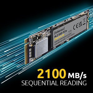Intenso SSD PCIe Premium