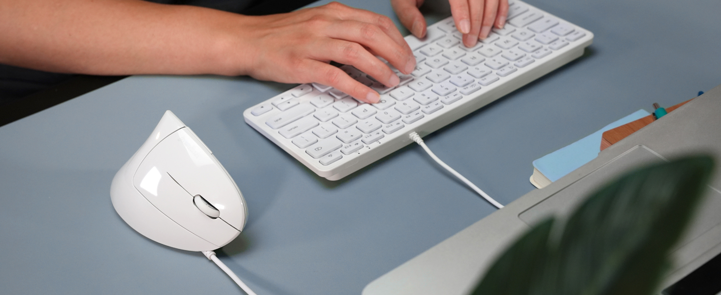 Souris Ergonomique Verticale avec Fil
