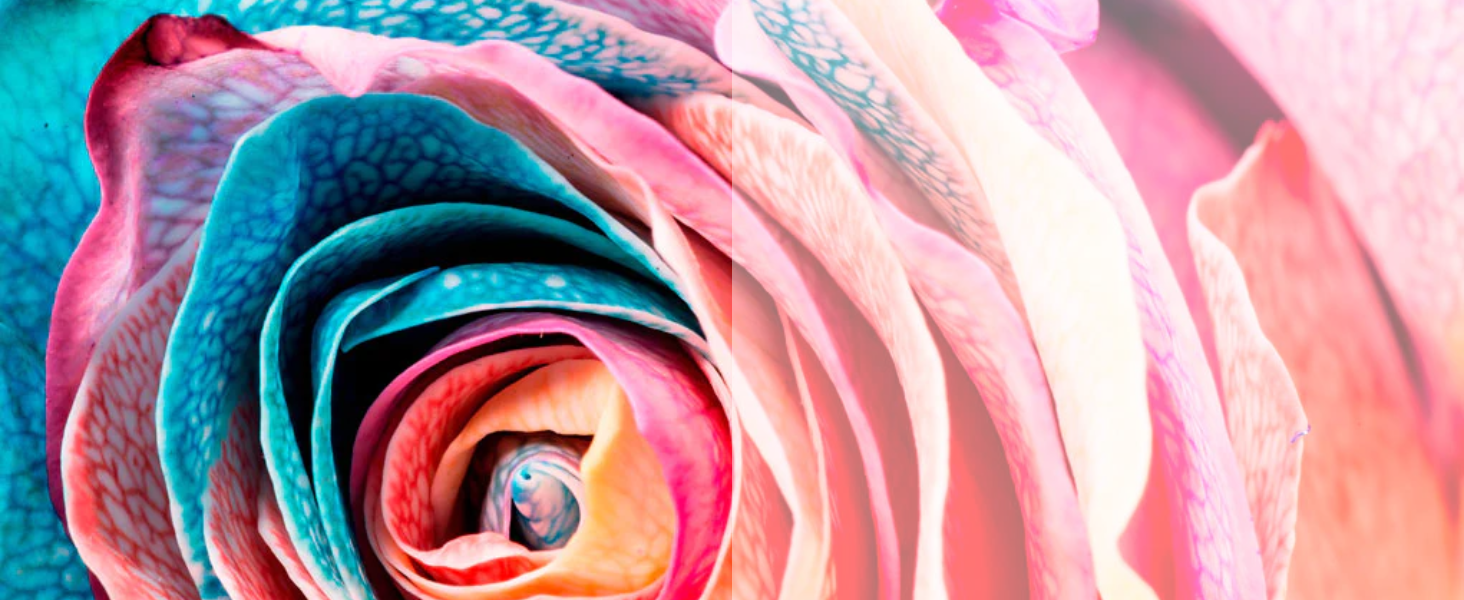 DES COULEURS PLUS VIVES