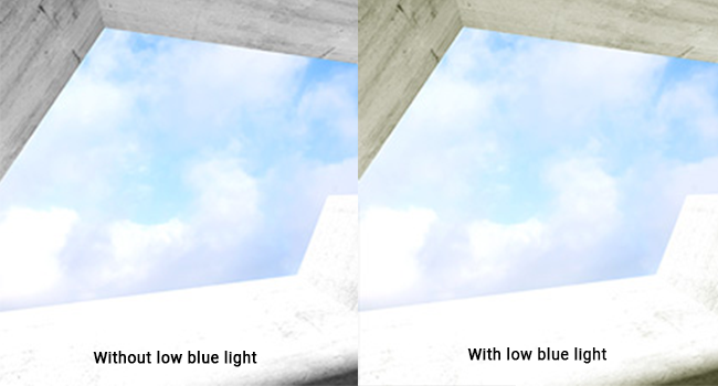 ASUS Blue Light Filter