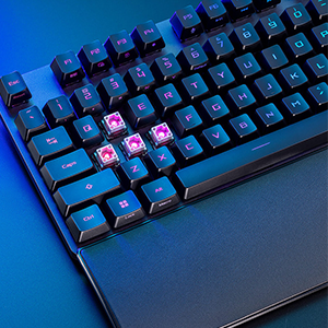 SWITCHES OPTIQUES ROG RX