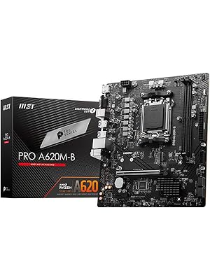 PRO A620M-B