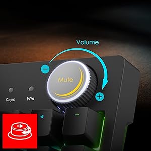 BOUTON DE VOLUME CRANTÉ