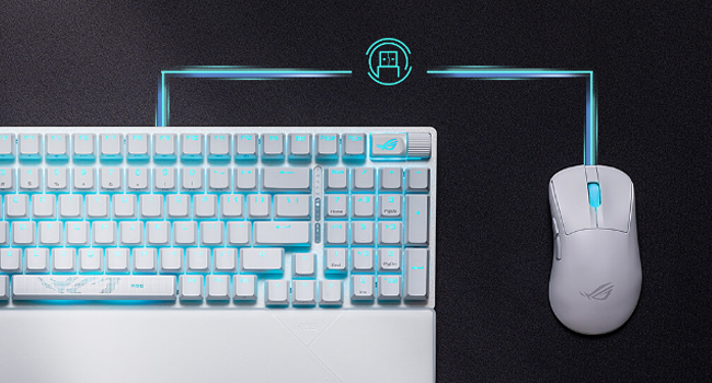 Récepteur ROG Omni