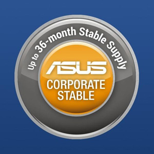 ASUS Corporate Stable Model