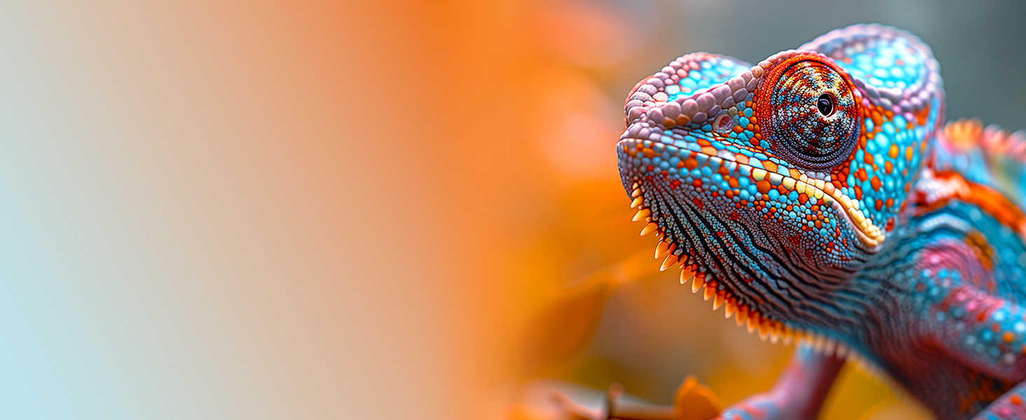 Visuels 6K HDR exceptionnels