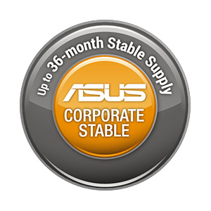 ASUS Corporate Stable Model