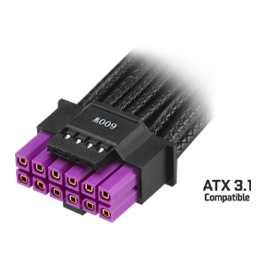Compatible ATX 3.1
