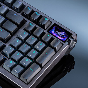 Écran OLED et Molette de commande à trois voies