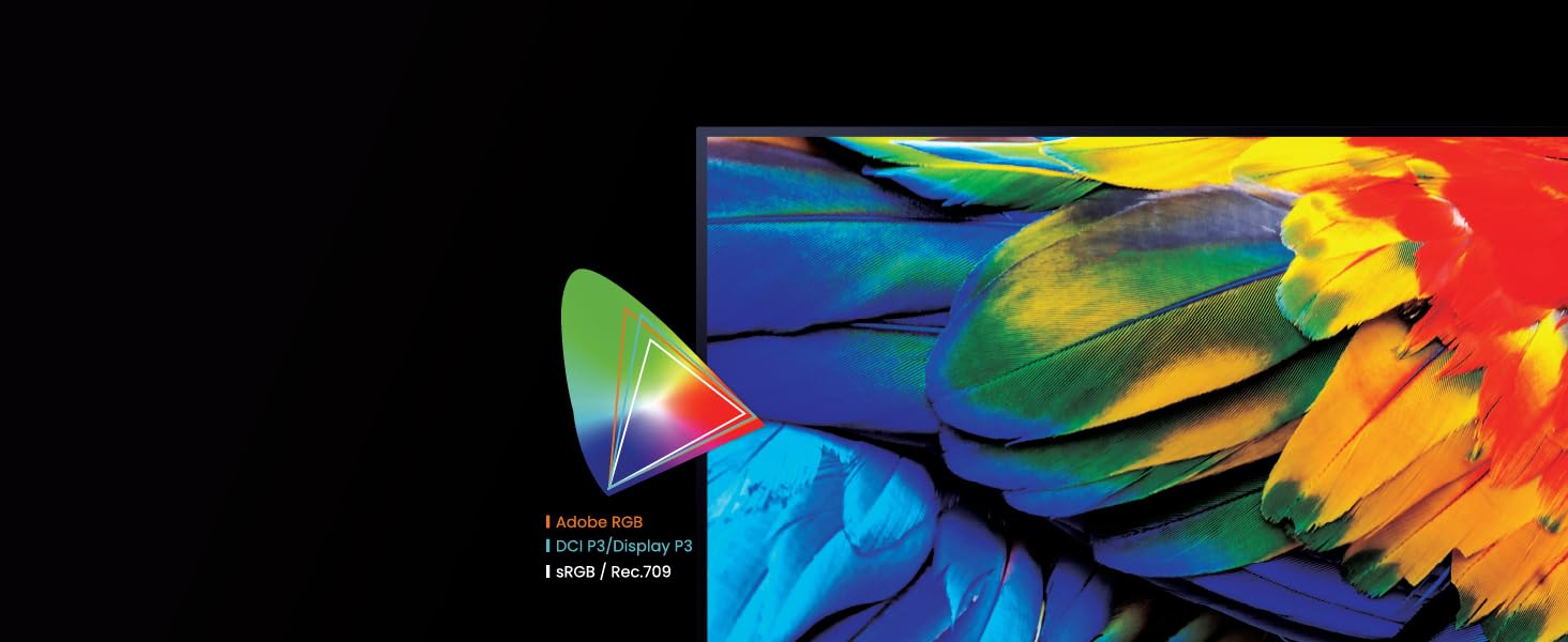 99% Adobe RGB & 98% Display P3​