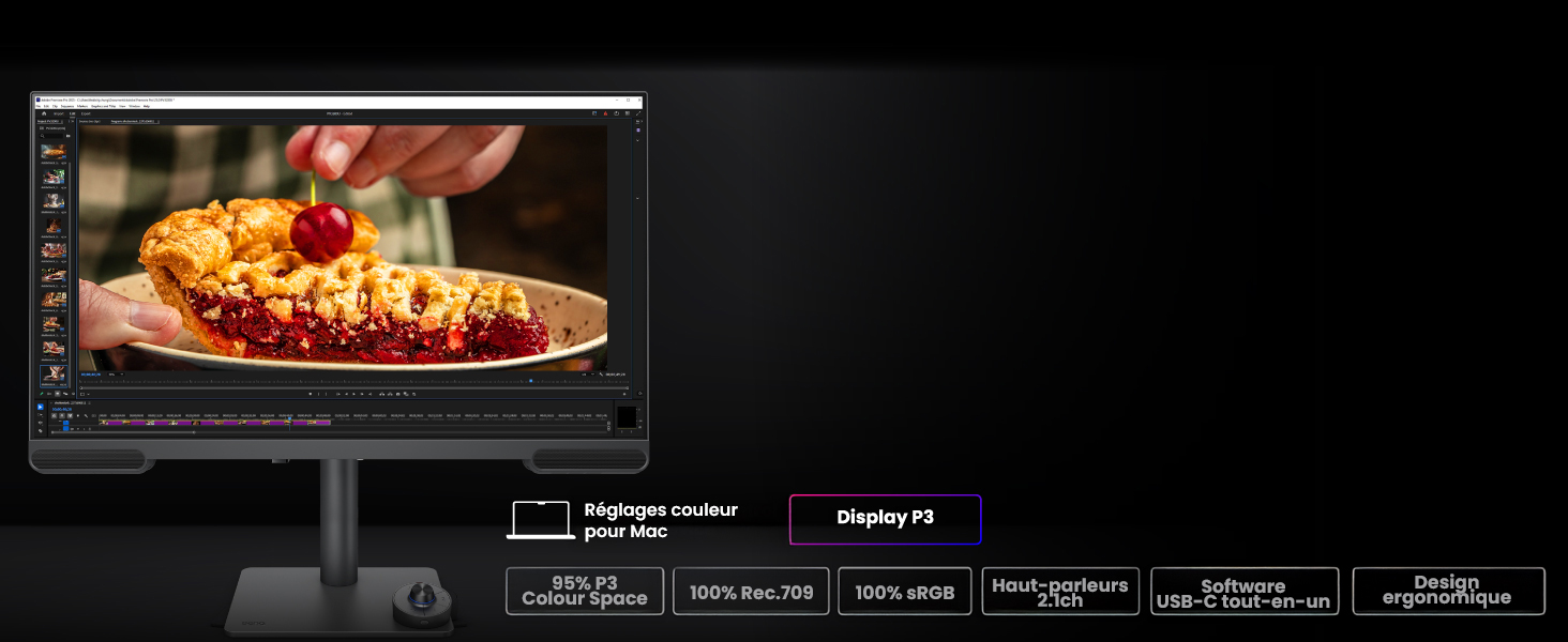 BenQ VideoVue Moniteur de montage vidéo