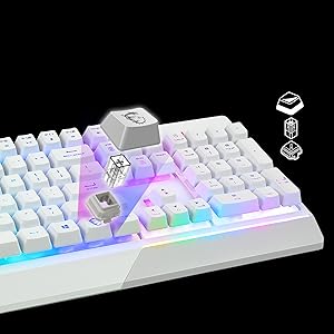 Base solide avec interrupteurs de type mécanique