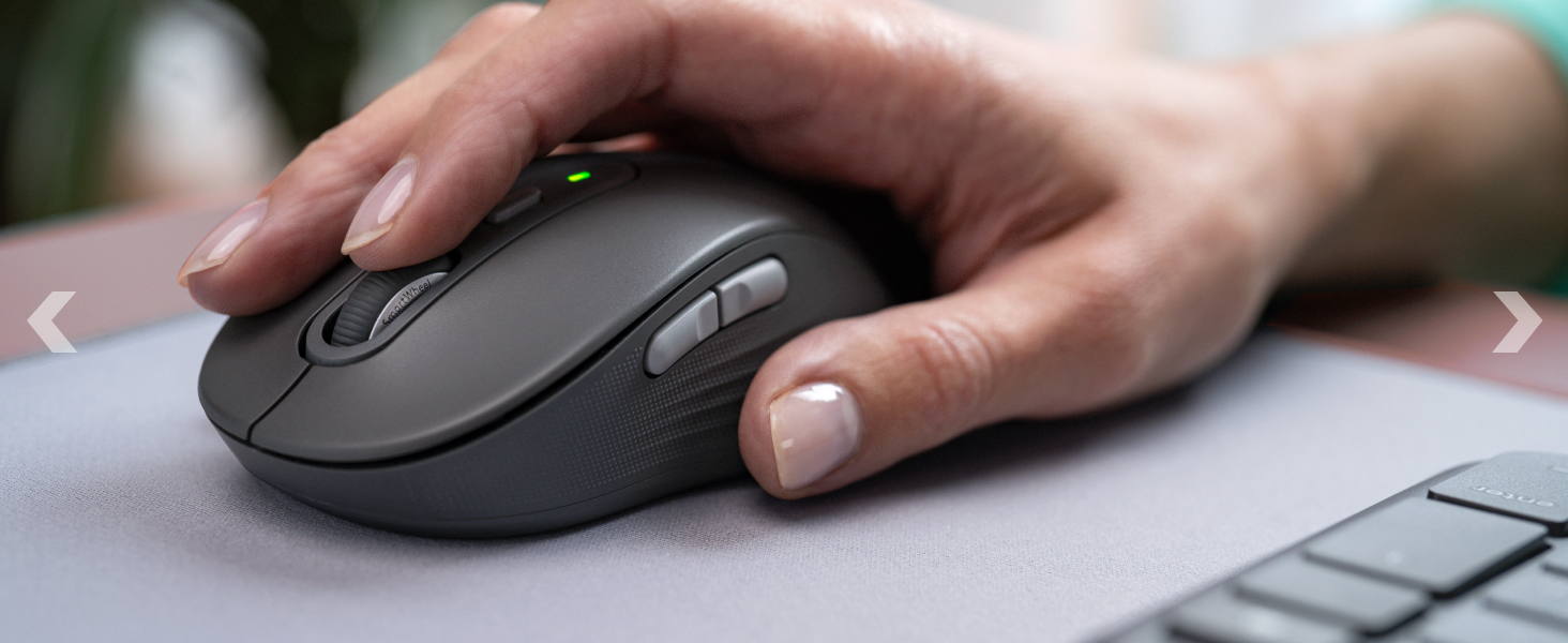 SOURIS SIGNATURE PLUS M750
