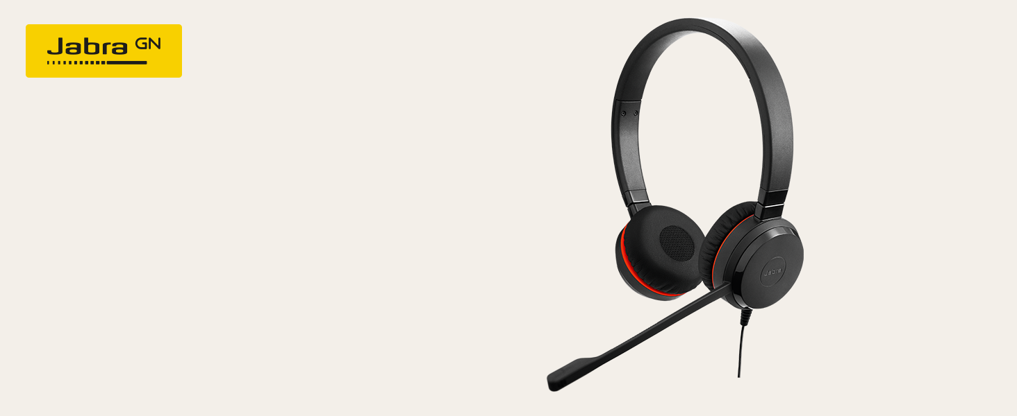 Jabra Evolve 20