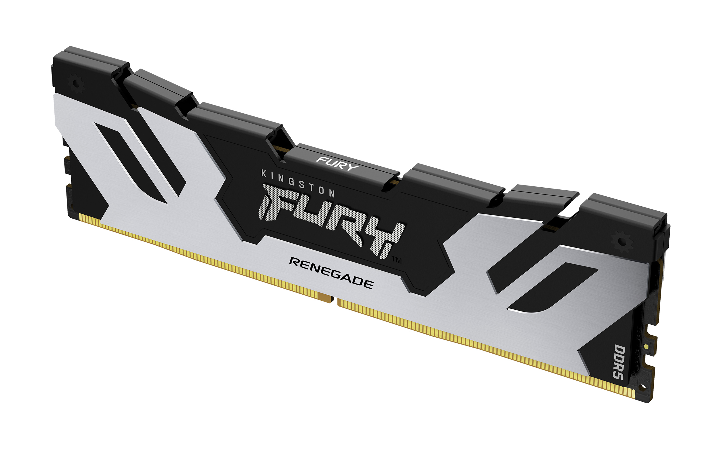 DIMM DDR5 CL32 16 Go 6 400 MT/s FURY Renegade Argent
