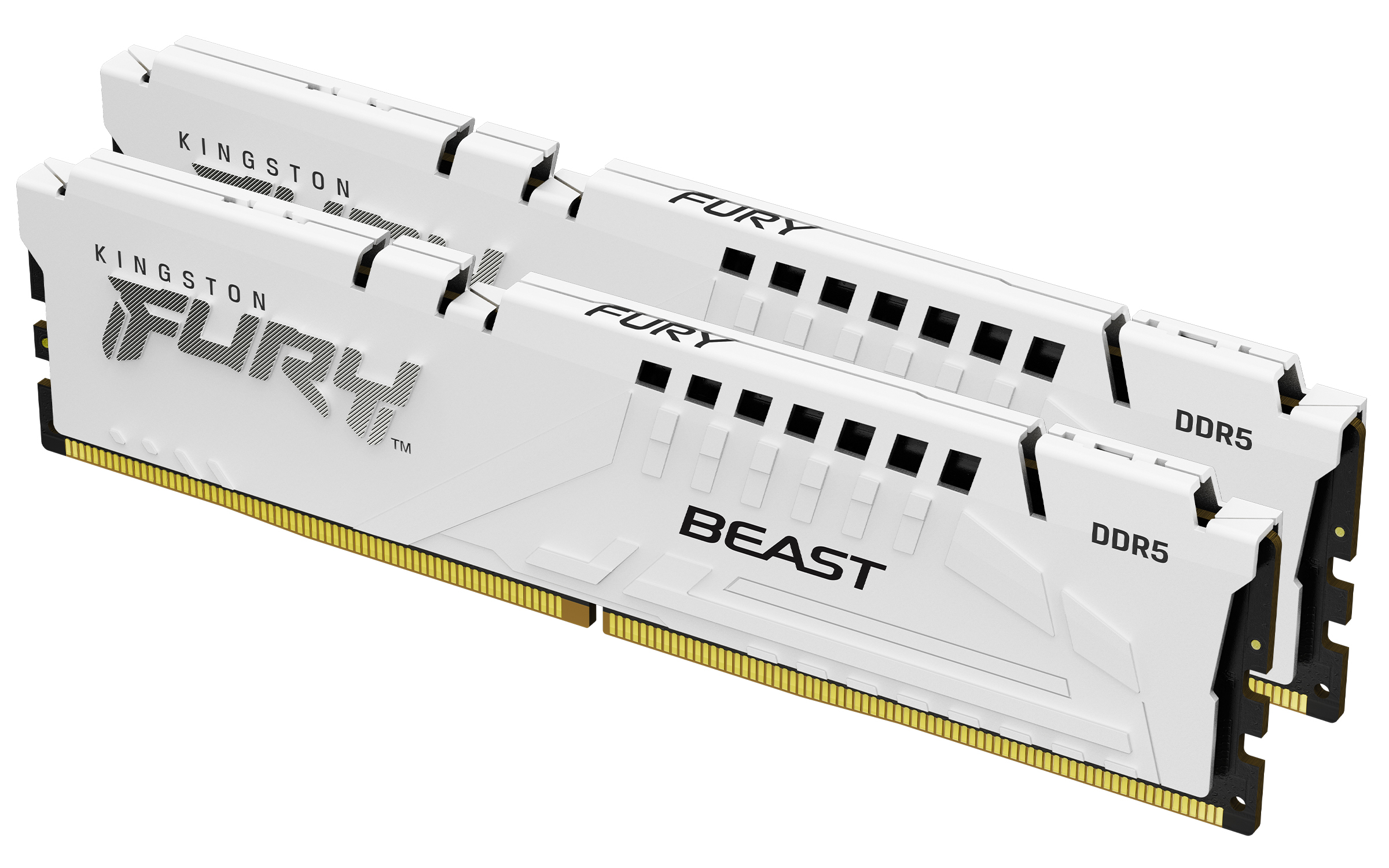 64 Go 6000 MT/s DDR5 CL36 DIMM (Kits de 2) FURY Beast White EXPO