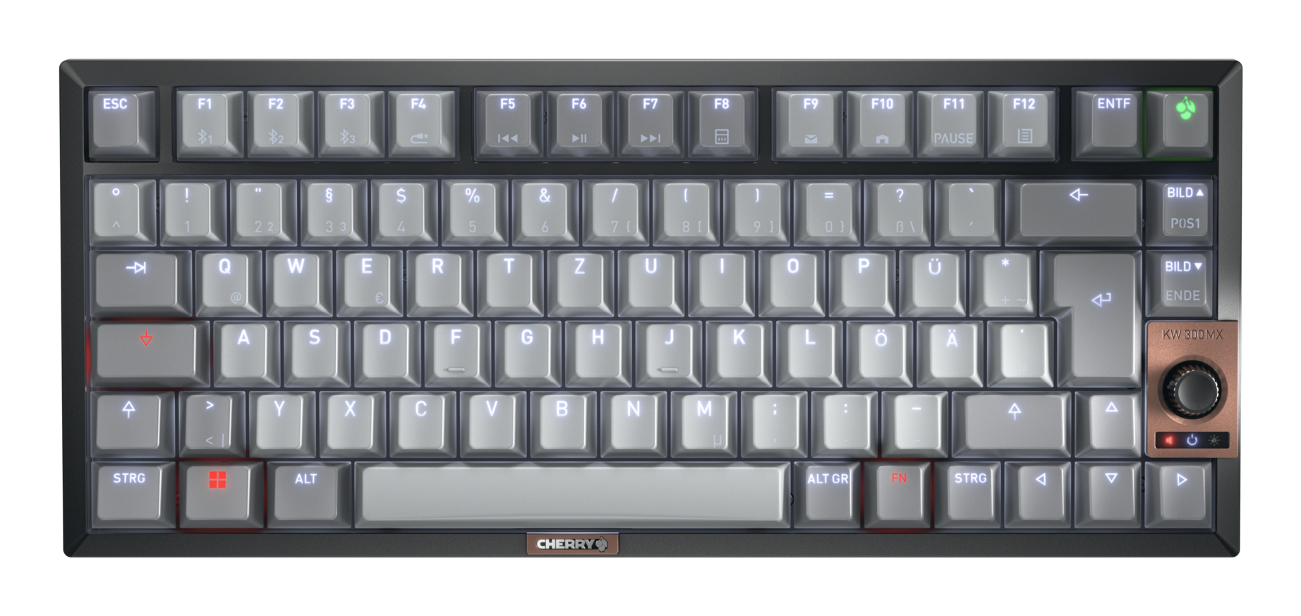 KW 300 MX