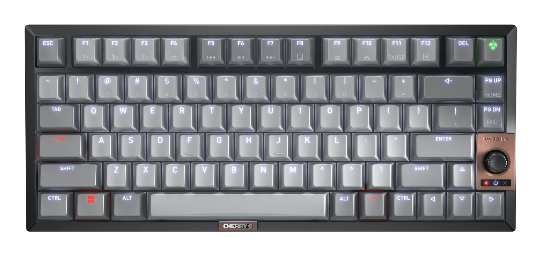 KW 300 MX