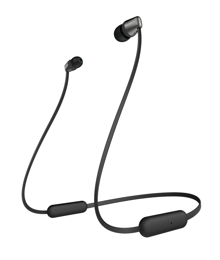 WI-C310