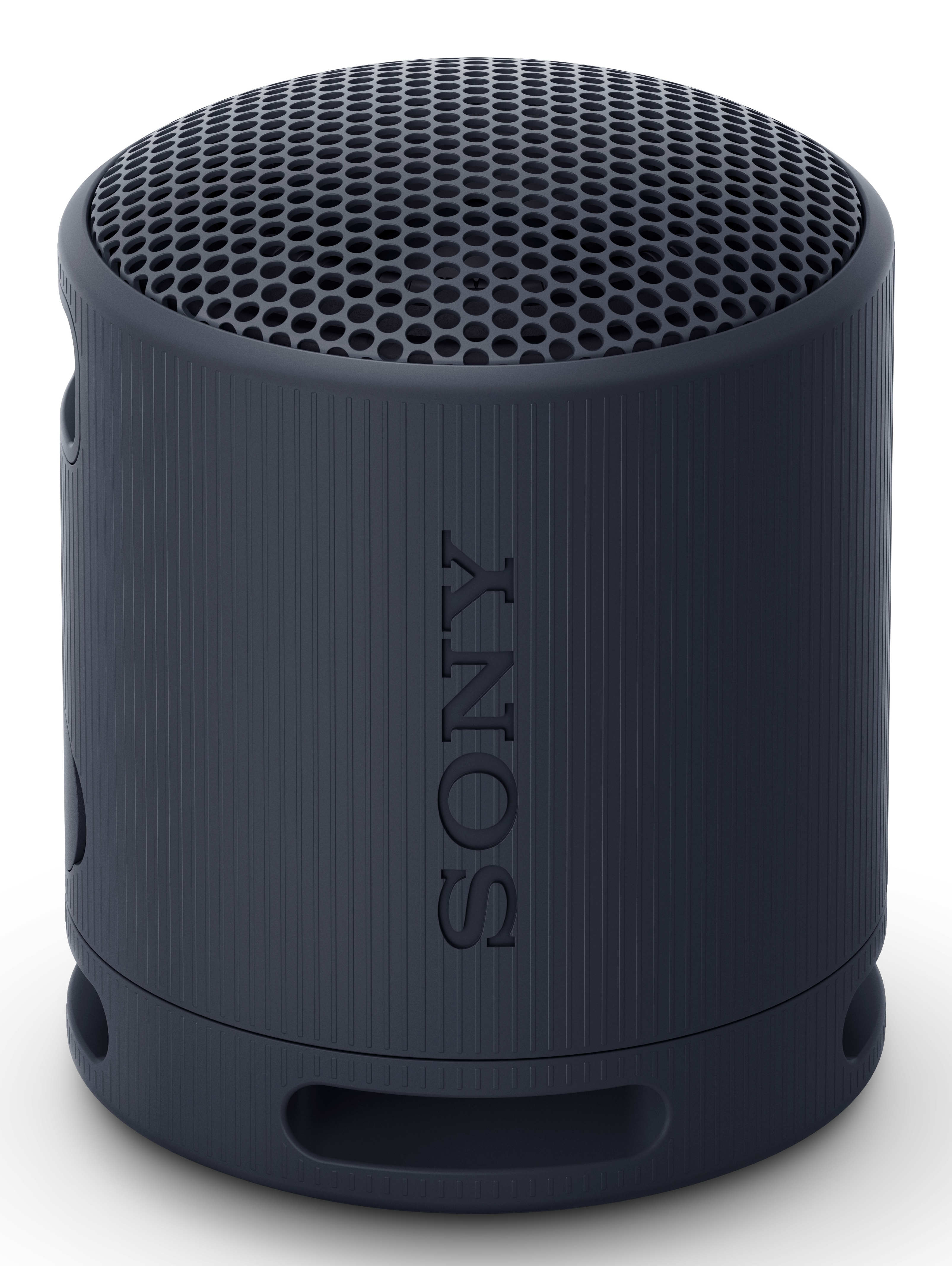 SRS-XB100