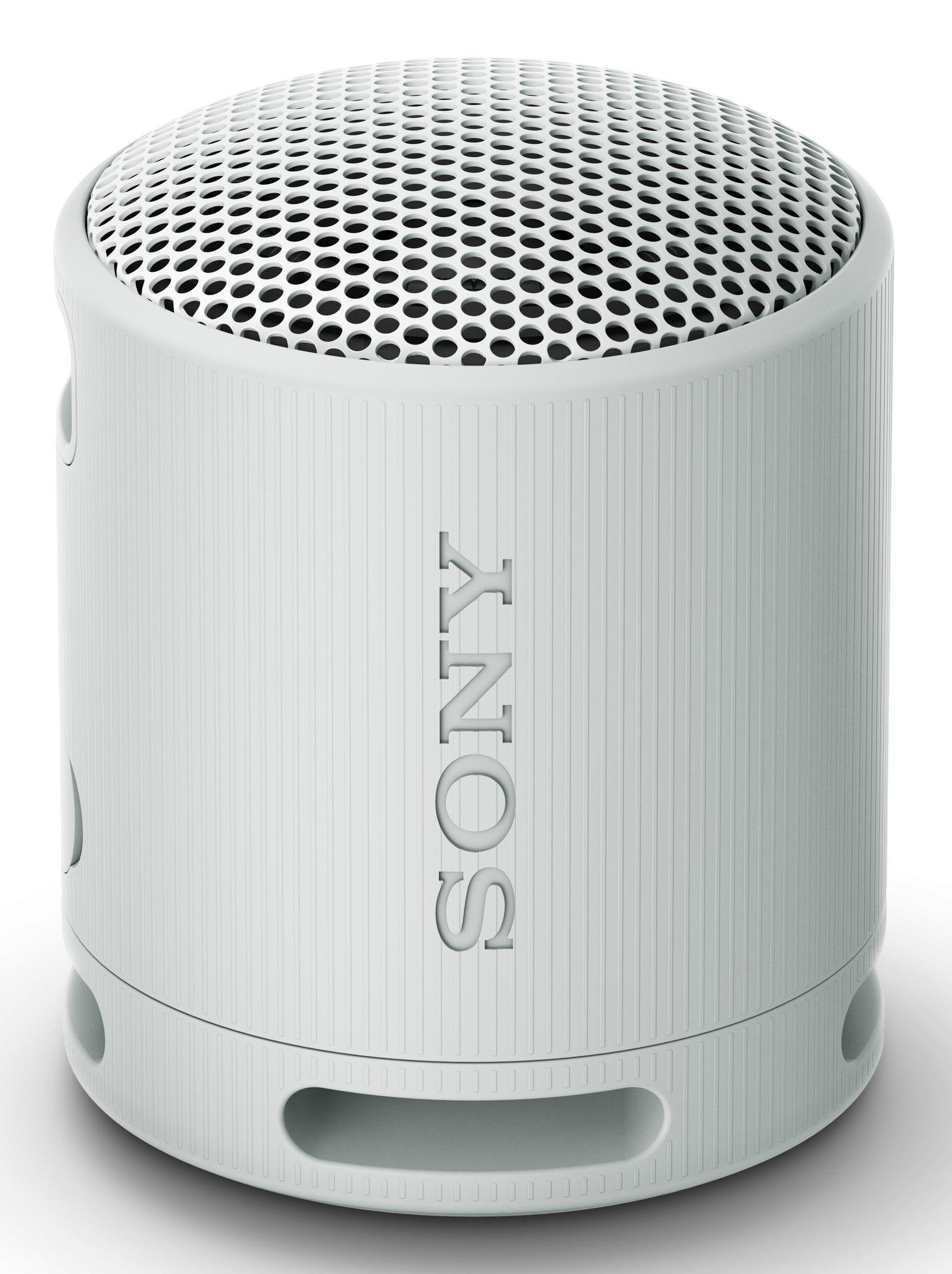 SRS-XB100