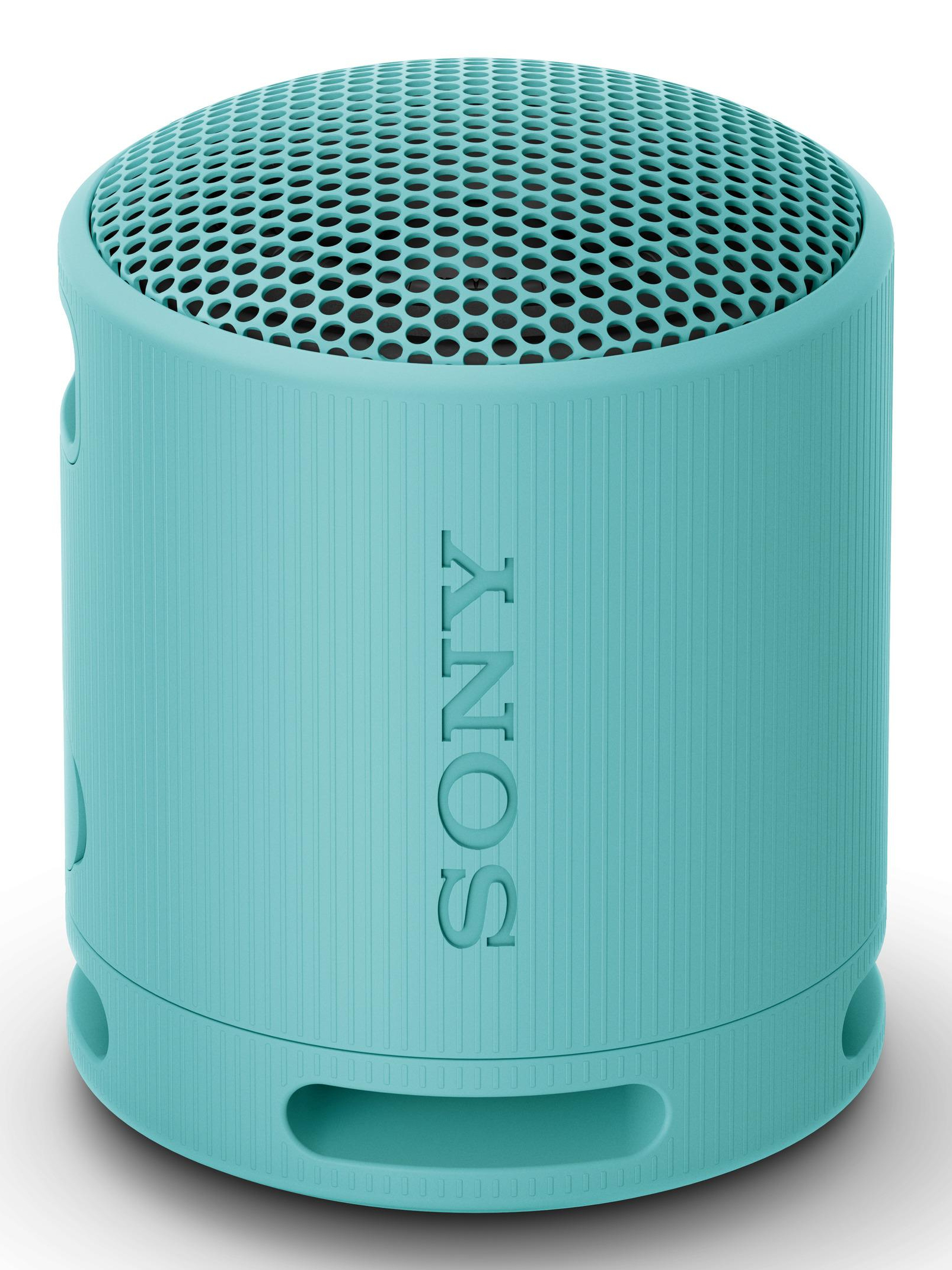 SRS-XB100