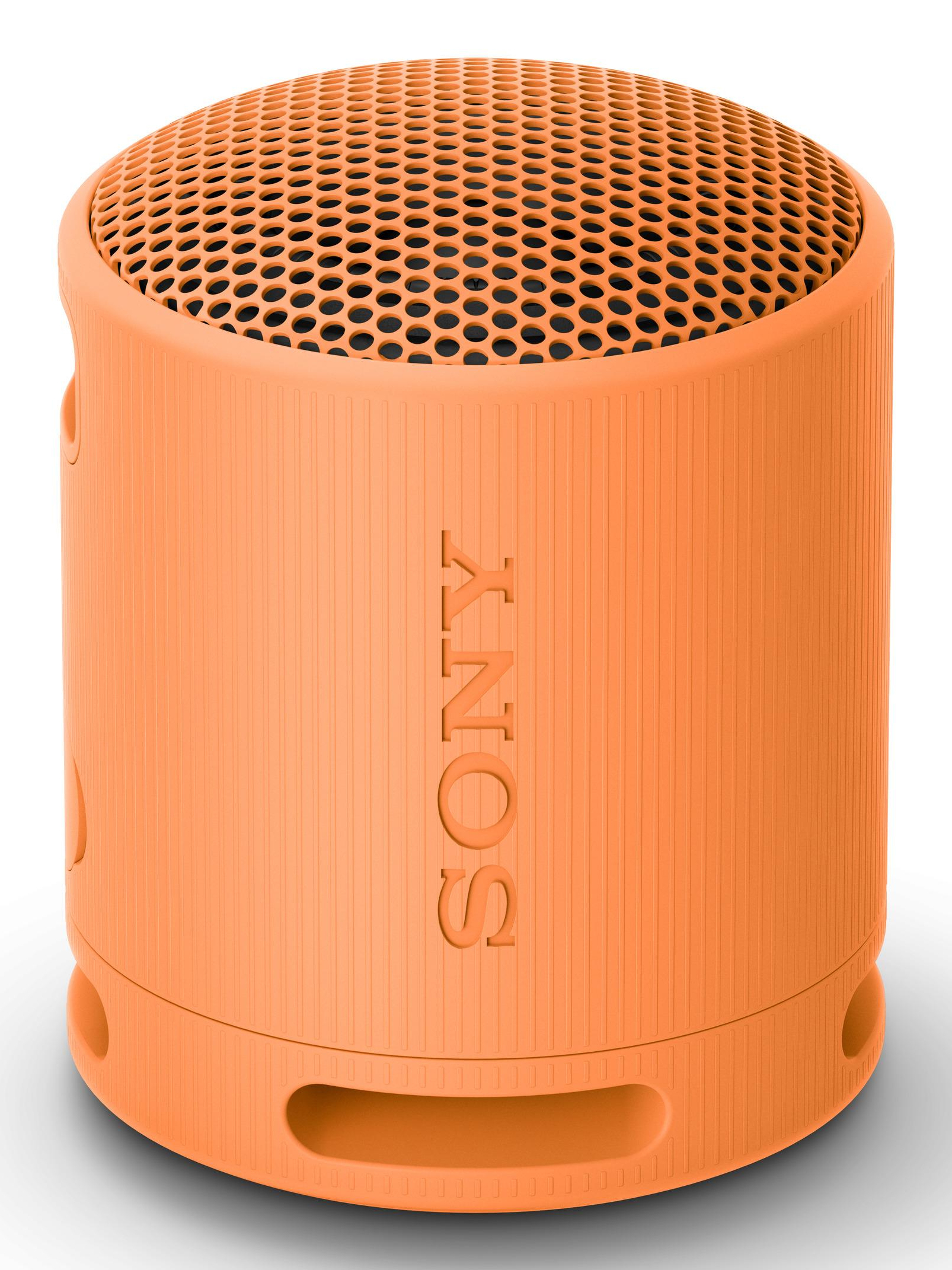 SRS-XB100