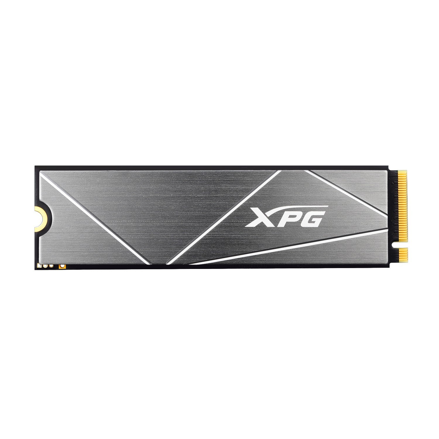 GAMMIX S50 Lite