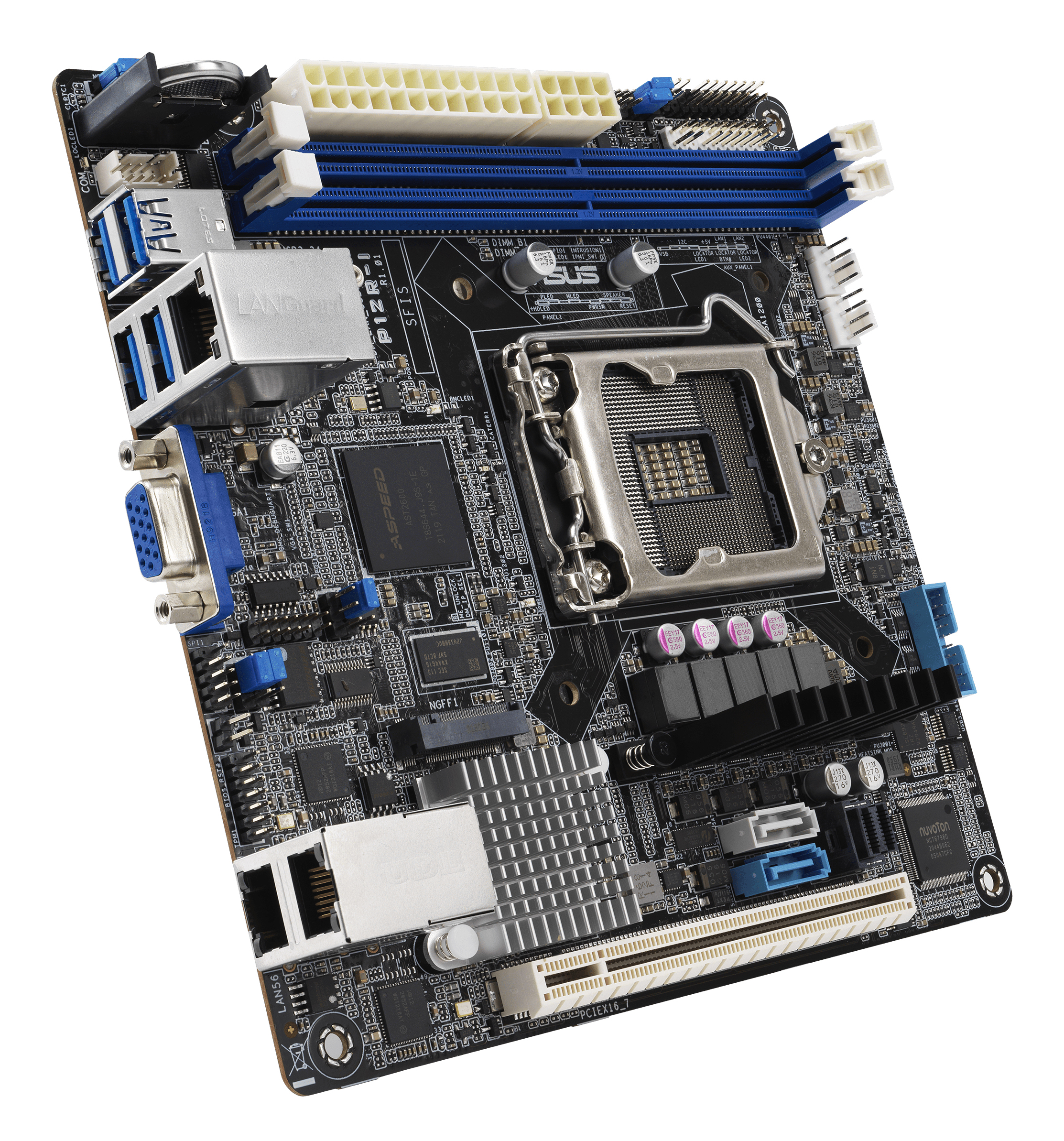 P12R-I/ASMB10
