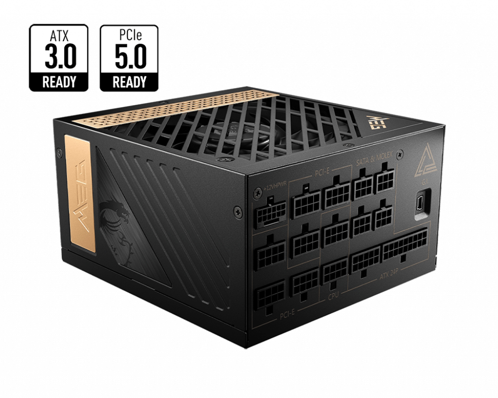 AI1300P PCIE5