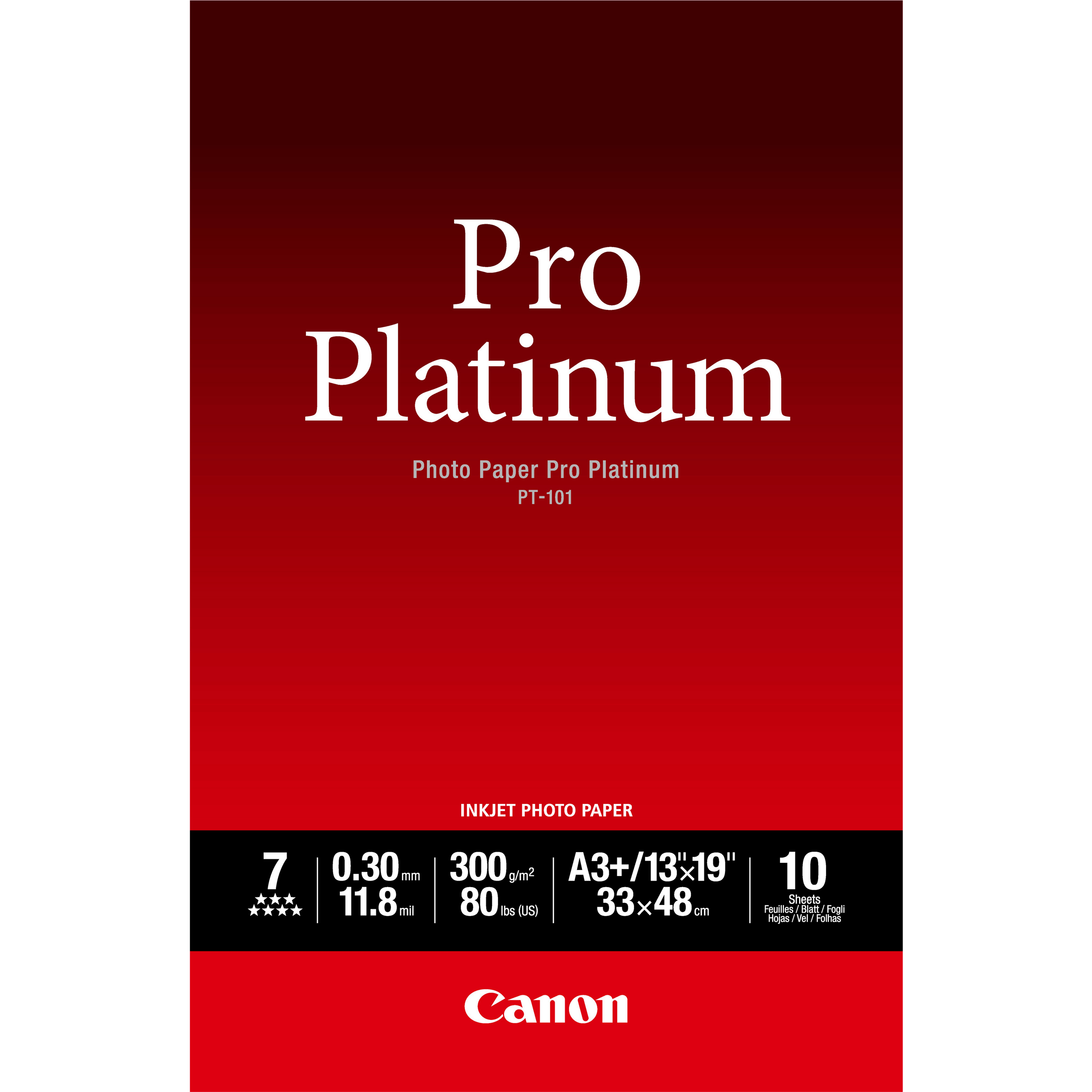 Papier photo professionnel Platinum A3 Plus PT-101 - 10 feuilles