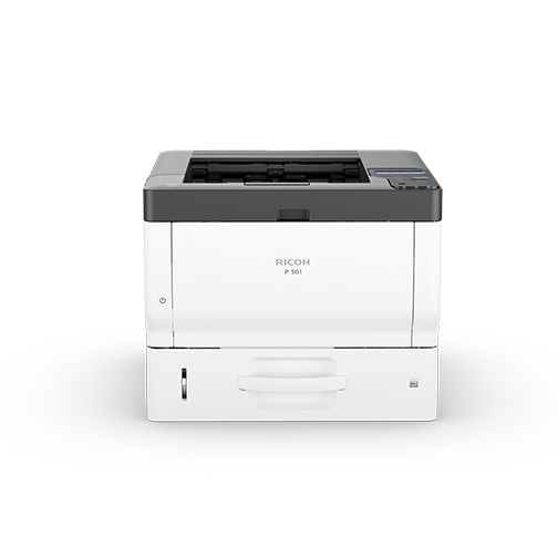 P 501