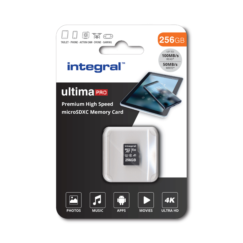 INMSDX256G-100/90V30