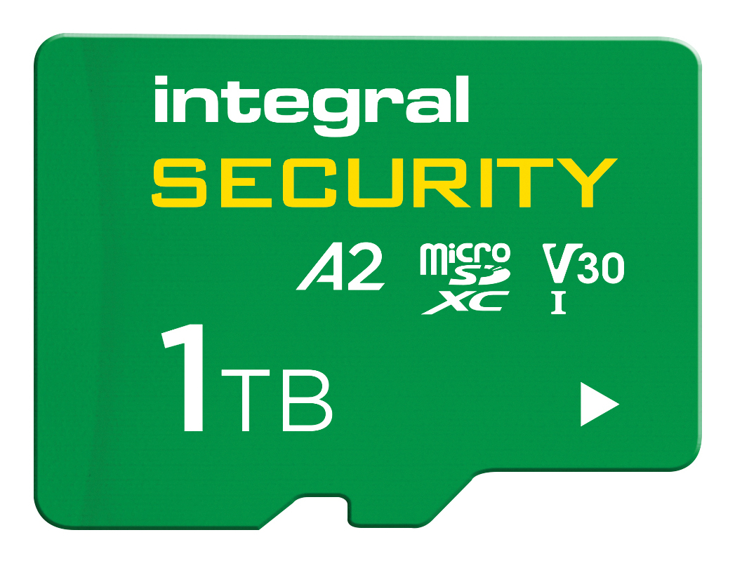 INMSDX1TB100V30-SEC