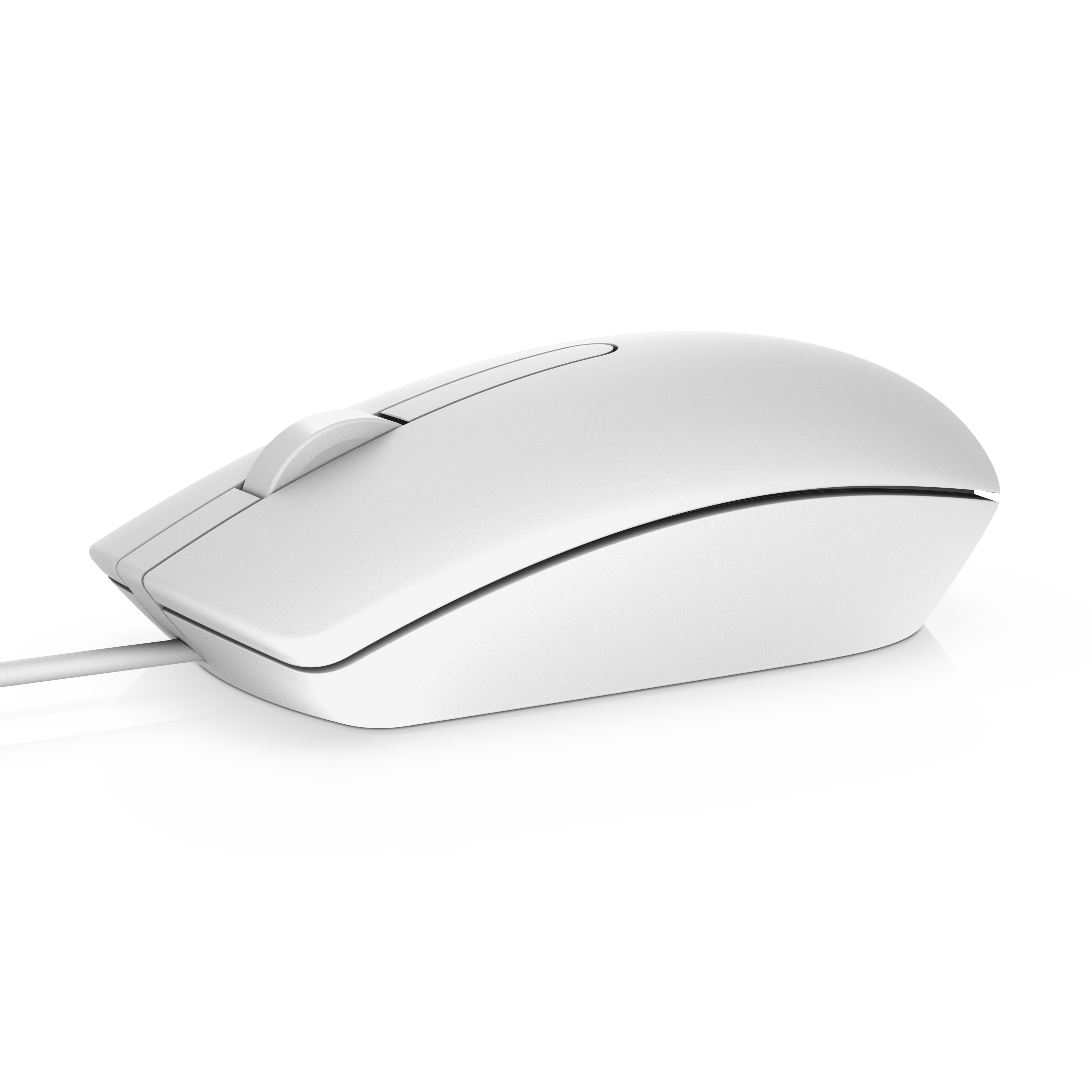 Souris filaire - MS116 - blanche