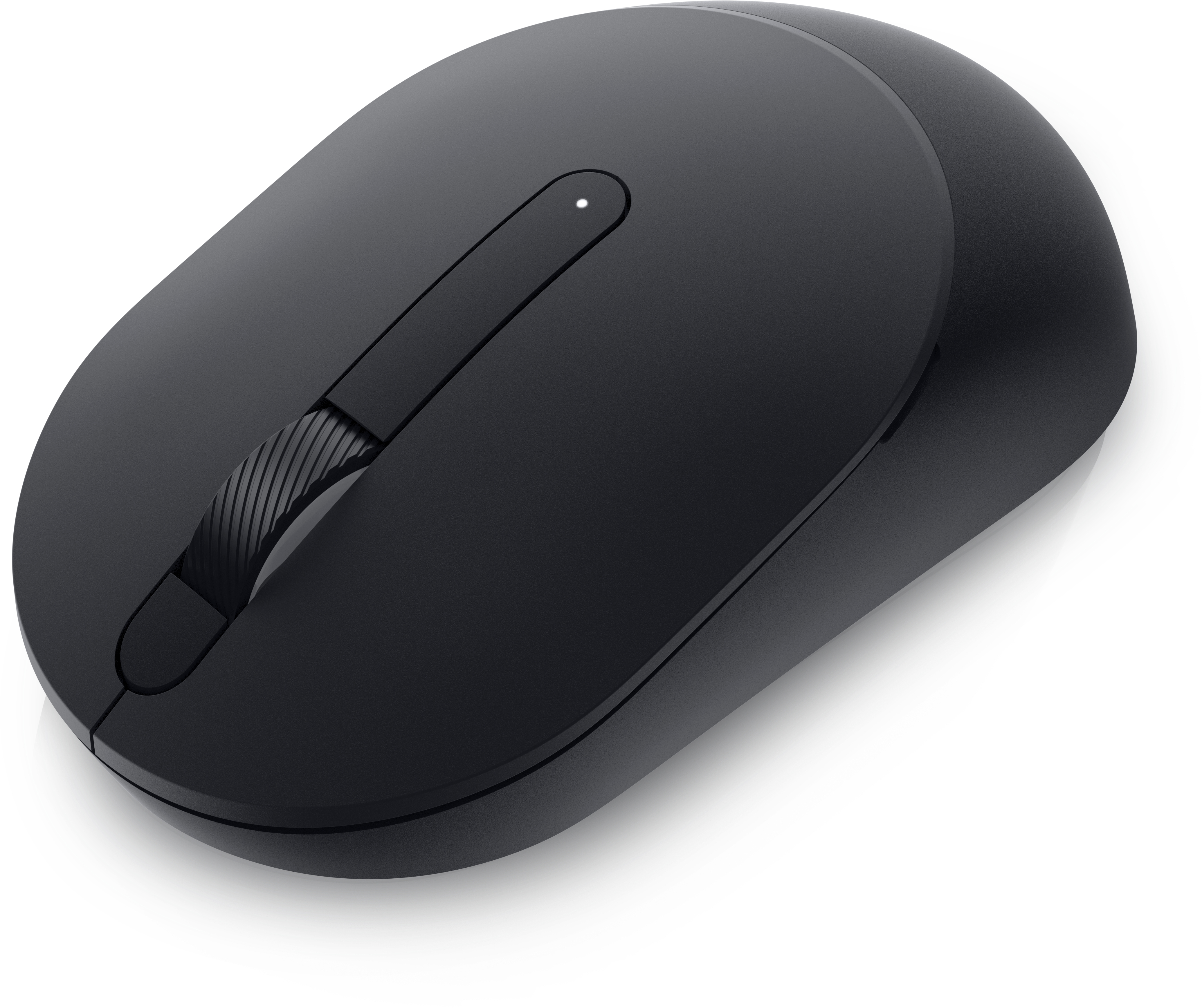 Souris Pro - MS300