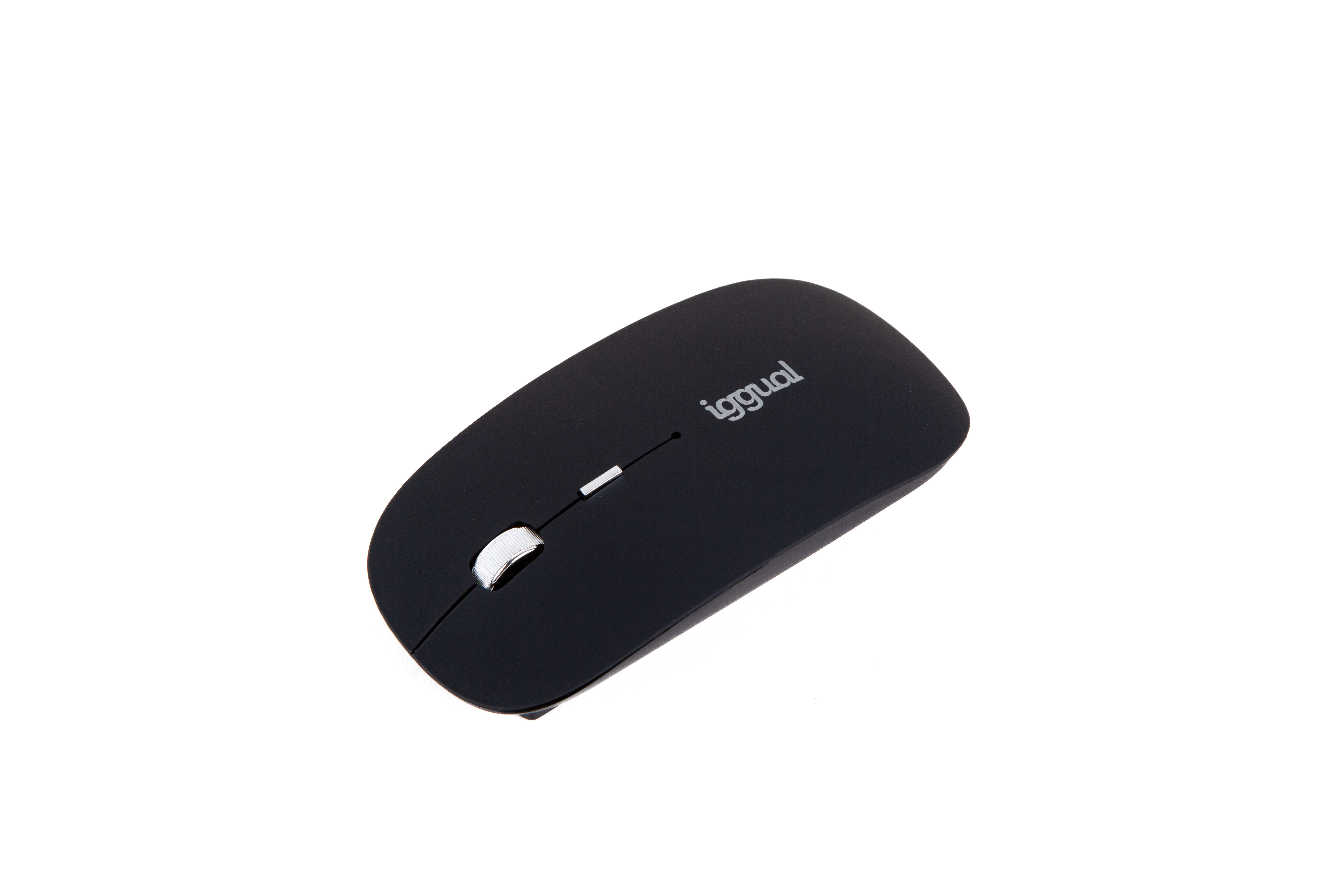IGG316771