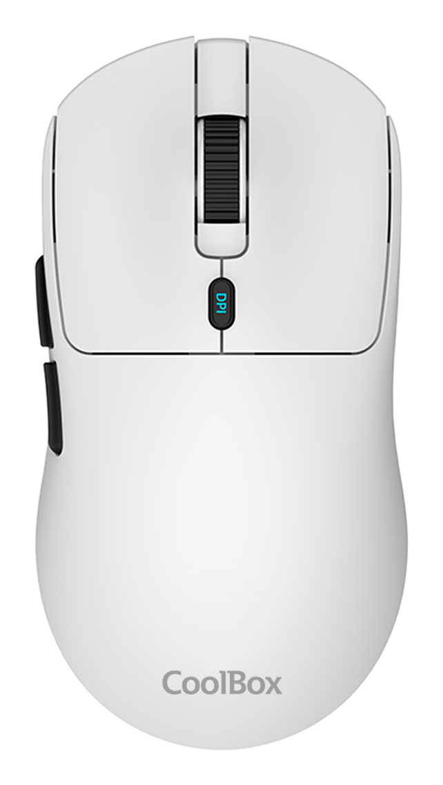 W03