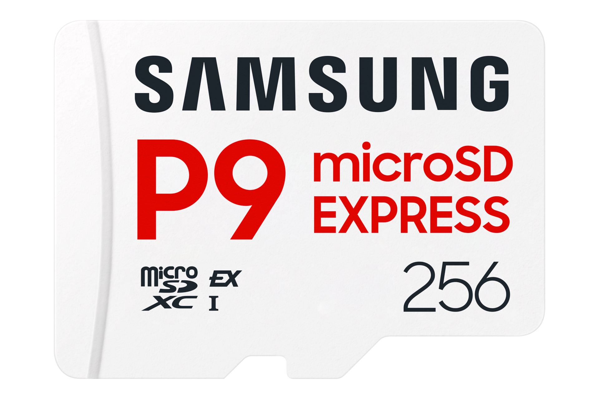Carte microSD P9 Express 256 Go