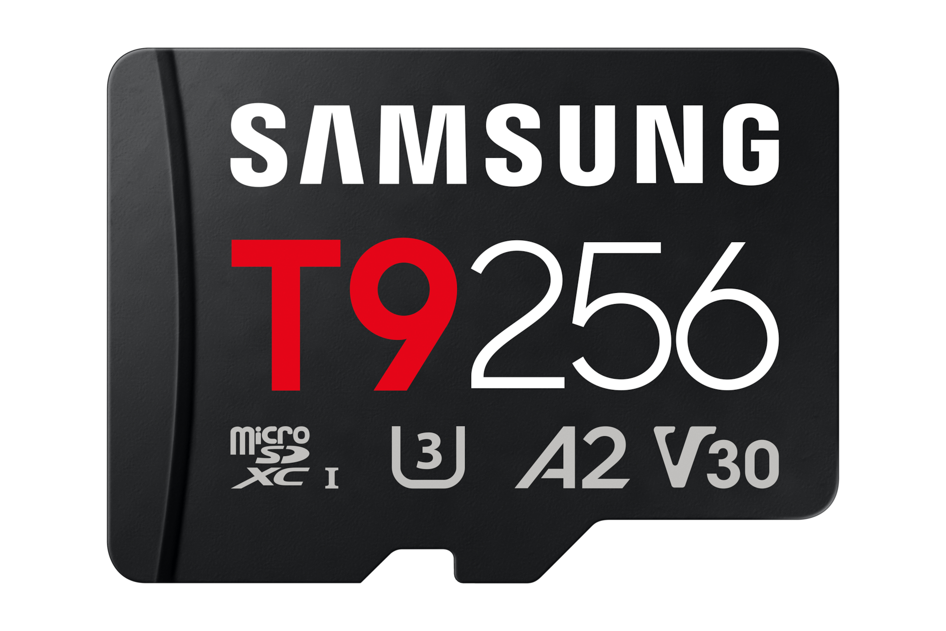 Carte microSDXC™ UHS-I 256 Go